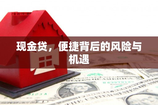 诸暨现金贷，便捷背后的风险与机遇