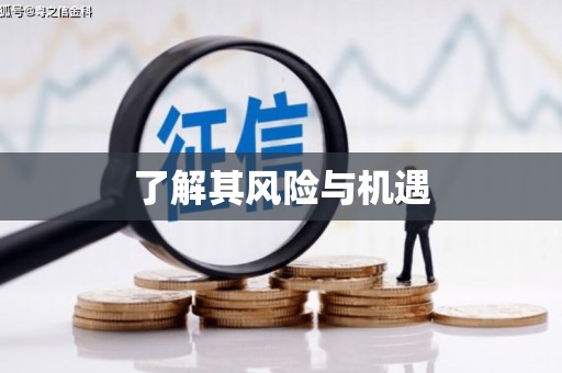 诸暨了解其风险与机遇