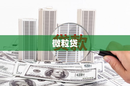 诸暨微粒贷