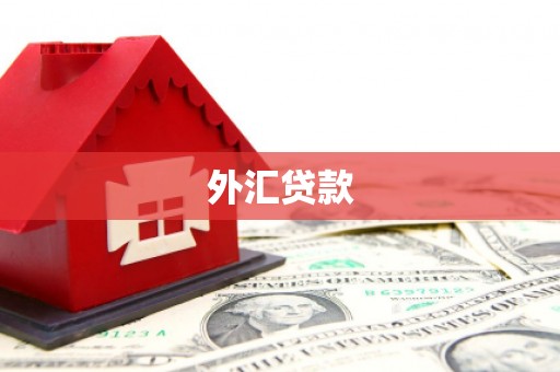 诸暨外汇贷款