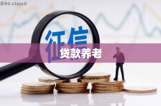 诸暨贷款养老