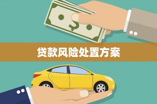诸暨贷款风险处置方案