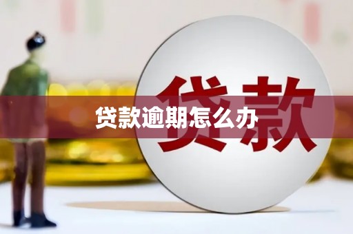诸暨贷款逾期怎么办