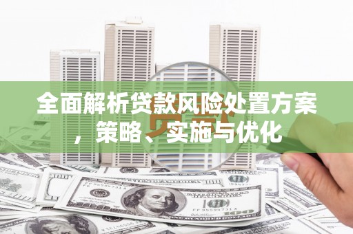 诸暨全面解析贷款风险处置方案，策略、实施与优化