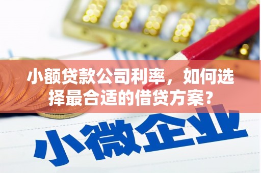 诸暨小额贷款公司利率，如何选择最合适的借贷方案？