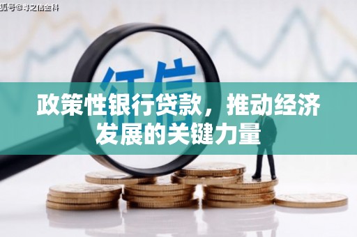 诸暨政策性银行贷款，推动经济发展的关键力量