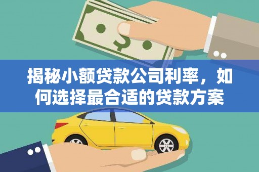 诸暨揭秘小额贷款公司利率，如何选择最合适的贷款方案