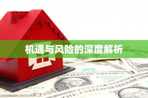 诸暨机遇与风险的深度解析