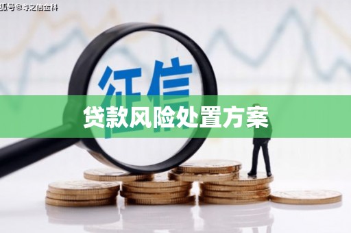 诸暨贷款风险处置方案